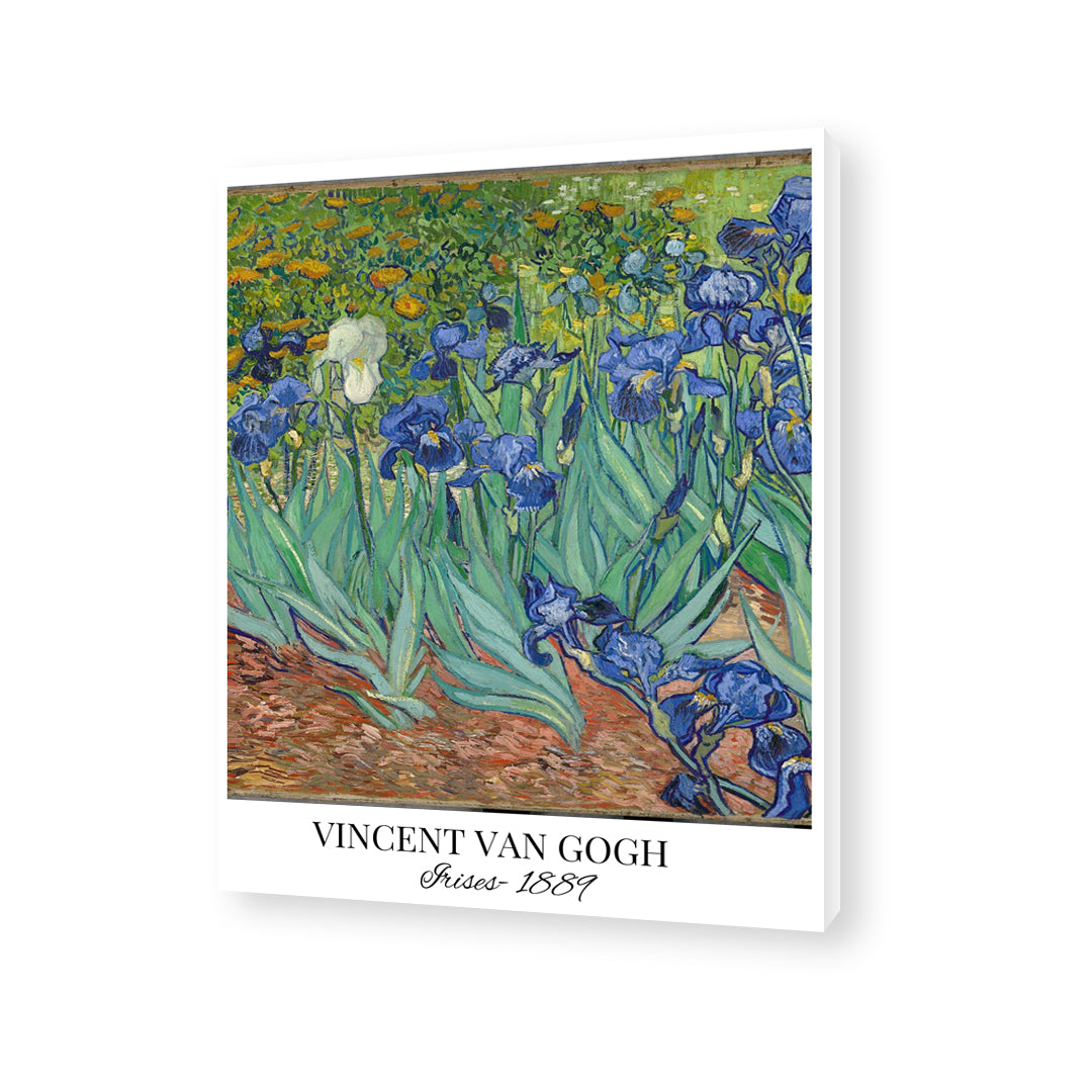 Vincent Van Gogh - Iresis 002 Canvas Painting