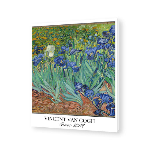 Vincent Van Gogh - Iresis 002 Canvas Painting