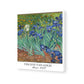 Vincent Van Gogh Iresis 003 Nature Painting