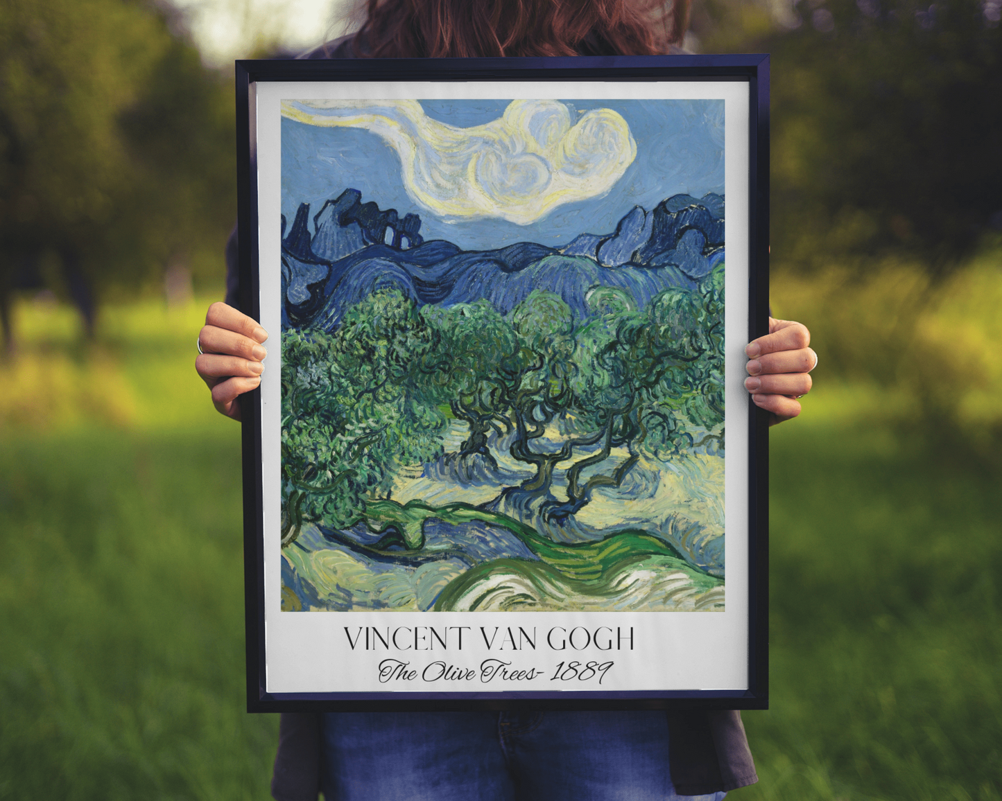 Vincent Van Gogh The Olive Trees Canvas Art